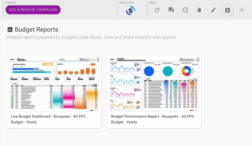 Shape budget-level reports page