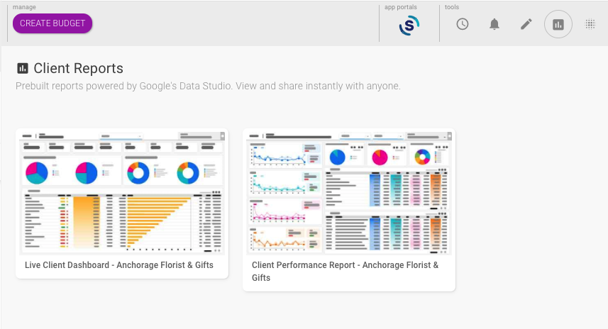 Shape client-level reports page